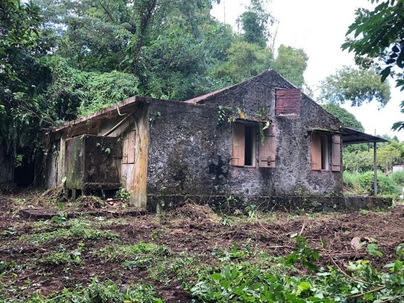 Martinique vielle maison abandonnée